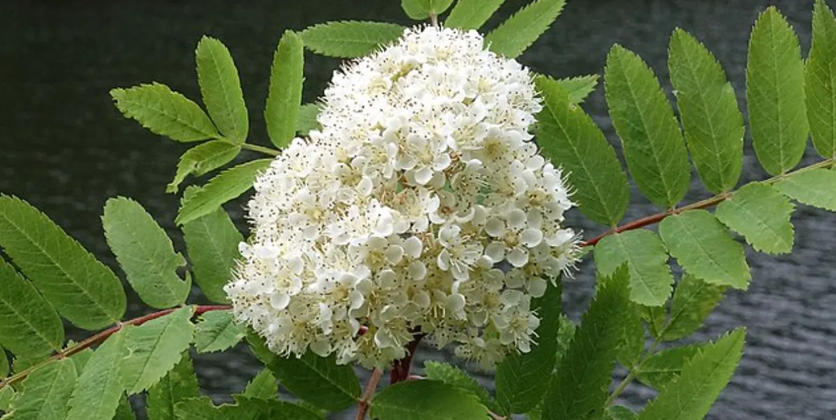 Screenshot 2026-04-11 3