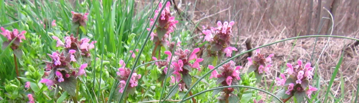 Screenshot 2026-04-14 9