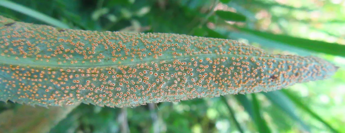 Screenshot 2026-04-18 1