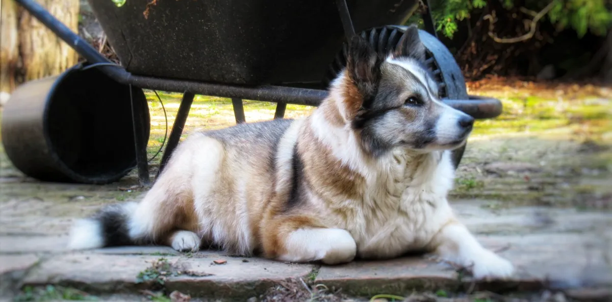 Screenshot 2026-02-14 13