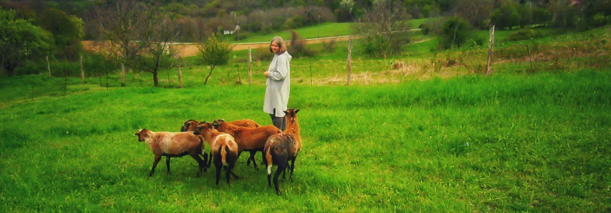 Screenshot 2026-02-16 10