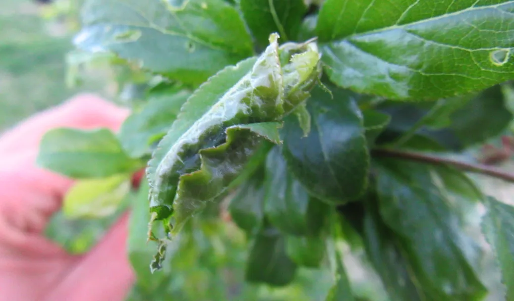 Screenshot 2026-04-08 8