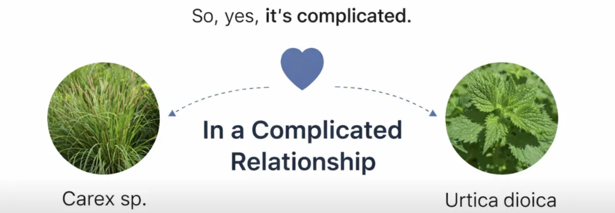 Screenshot 2026-04-18 3