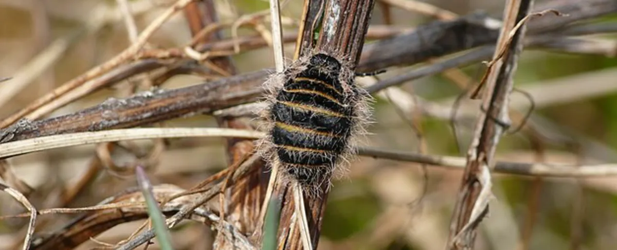 Screenshot 2026-03-05 1