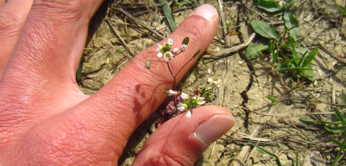 Screenshot 2026-04-04 4