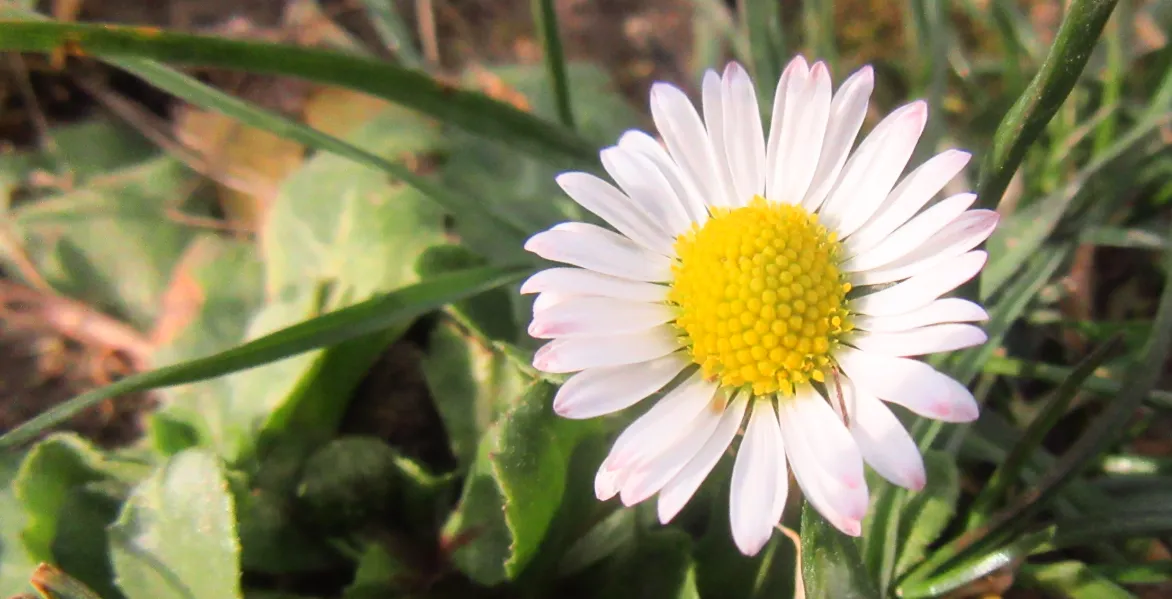 Screenshot 2026-03-01 11