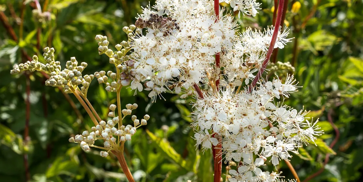 Screenshot 2026-04-11 3