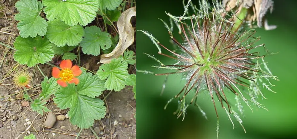 Screenshot 2026-04-11 3