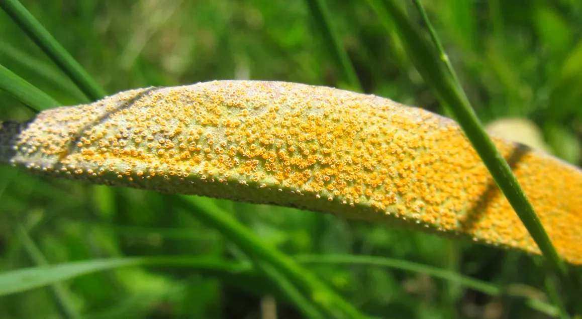 Screenshot 2026-04-18 1