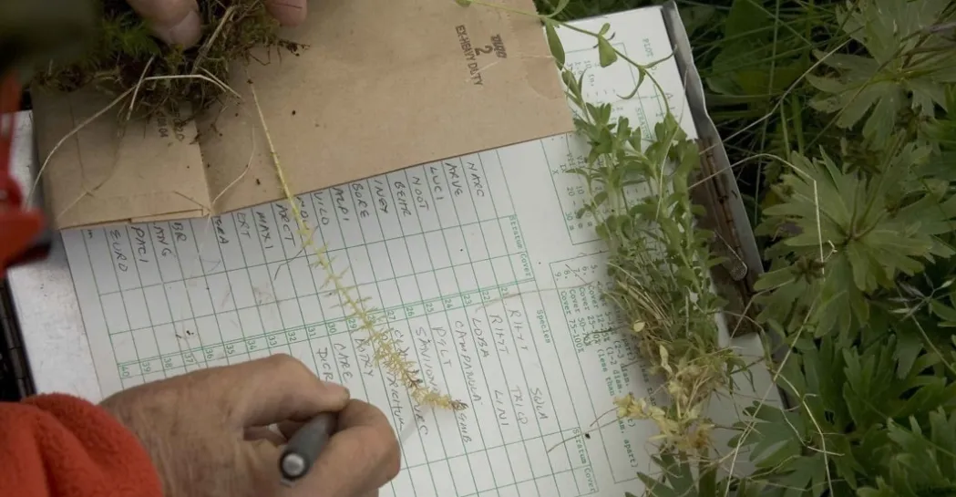 Screenshot 2026-03-05 6