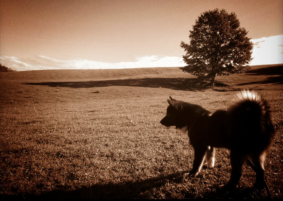 Screenshot 2026-02-14 13