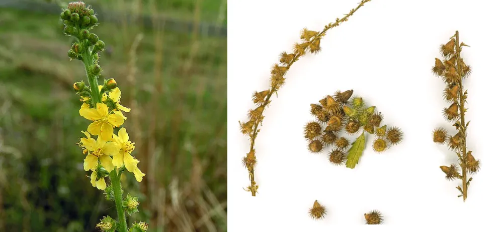 Screenshot 2026-04-11 3