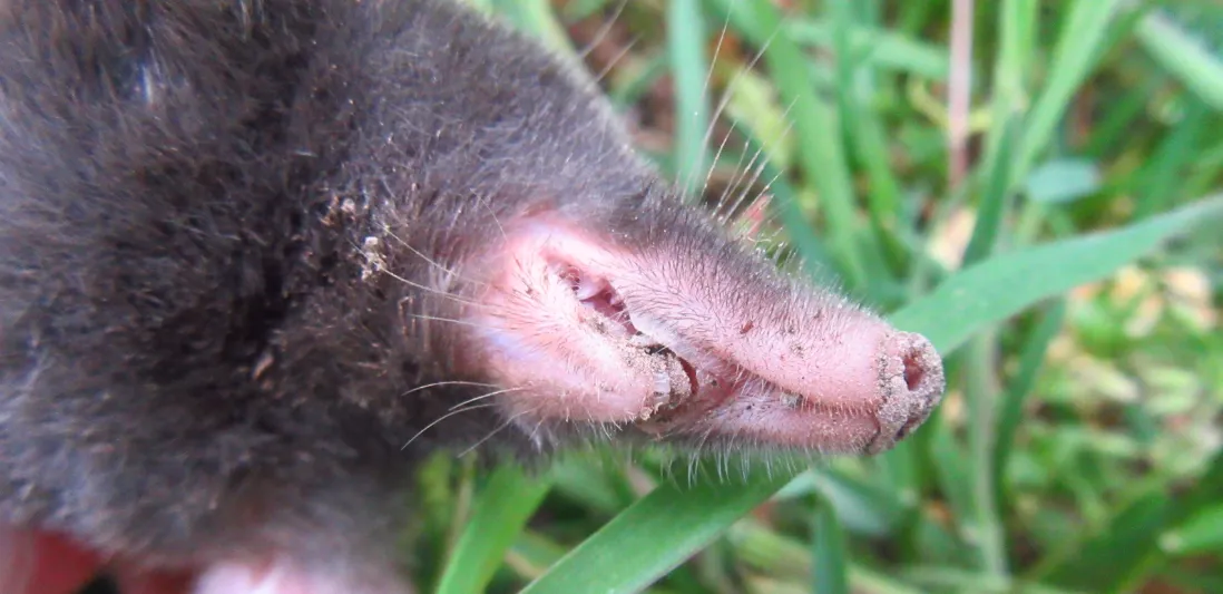 Screenshot 2026-04-19 8