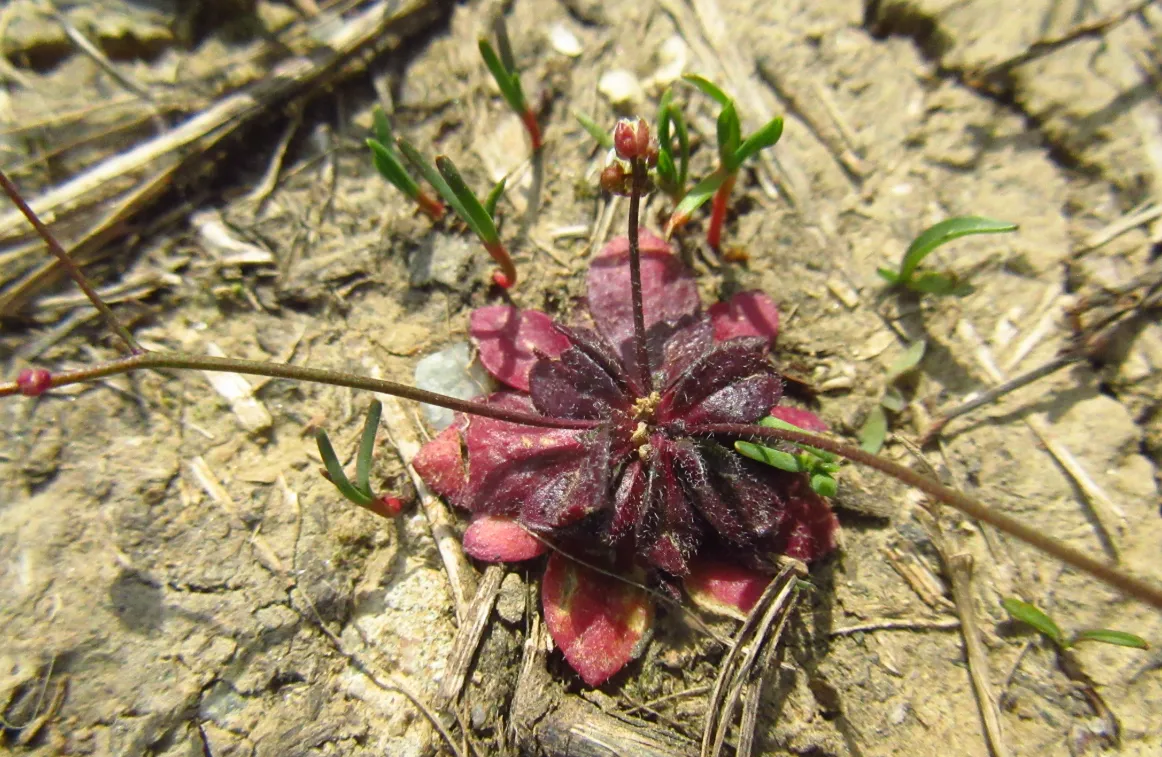 Screenshot 2026-04-04 4