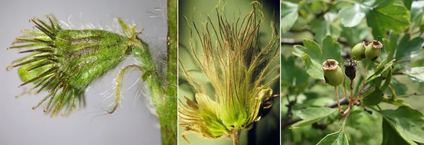 Screenshot 2026-04-07 2