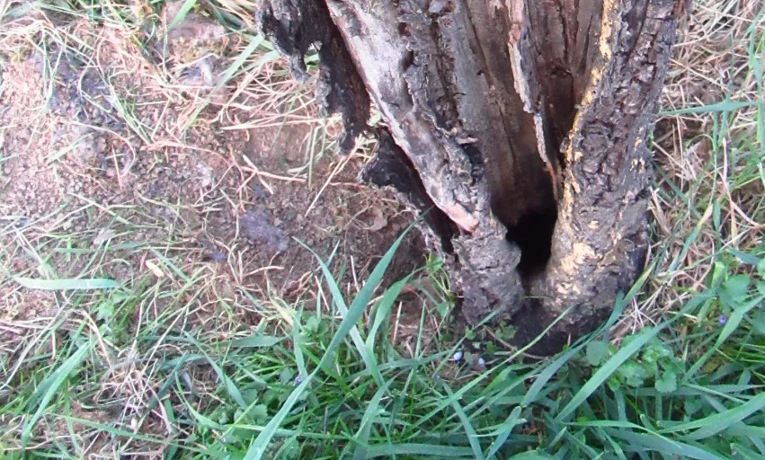 Screenshot 2026-04-19 8