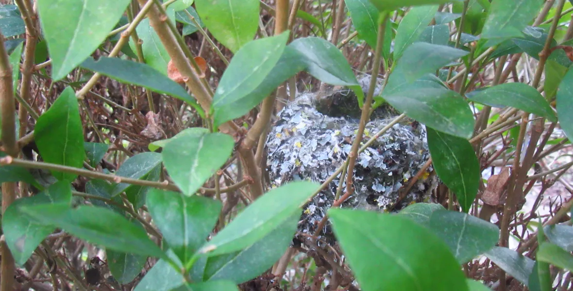 Screenshot 2026-03-03 5