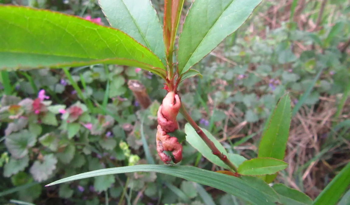 Screenshot 2026-04-13 3