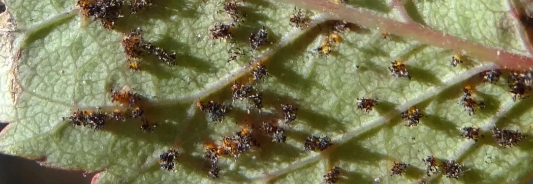 Screenshot 2026-04-18 4