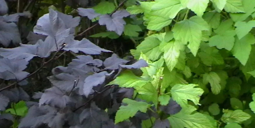 Screenshot 2026-04-14 9