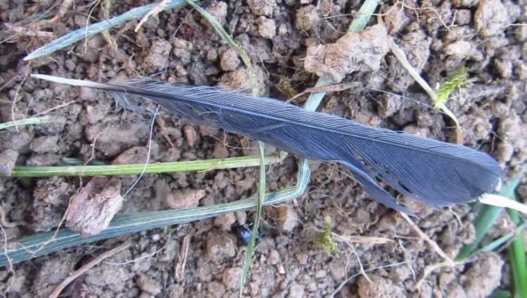 Screenshot 2026-04-19 8