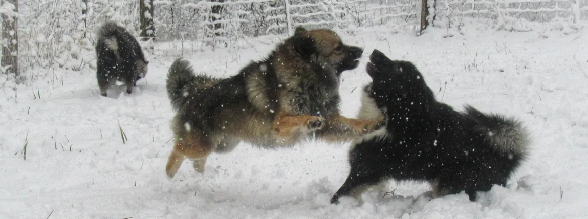 Screenshot 2026-01-29 14