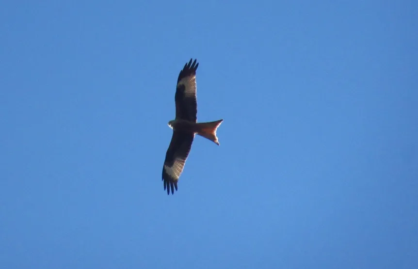 Screenshot 2026-03-14 2