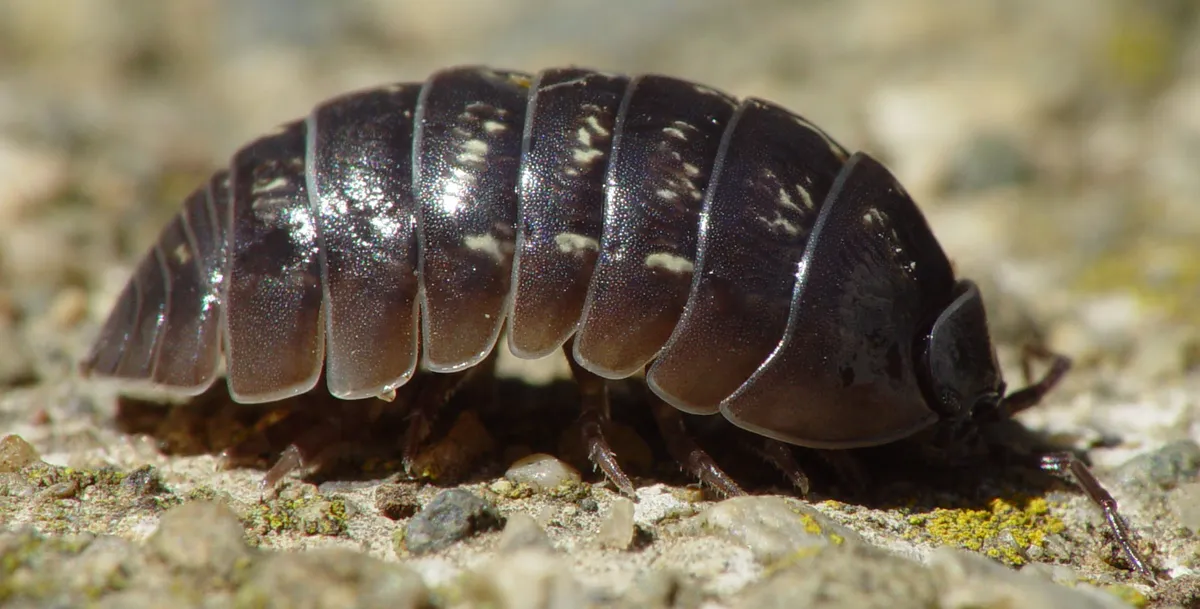 Screenshot 2026-02-04 13