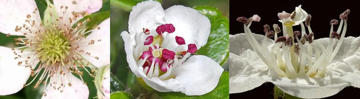 Screenshot 2026-04-07 1