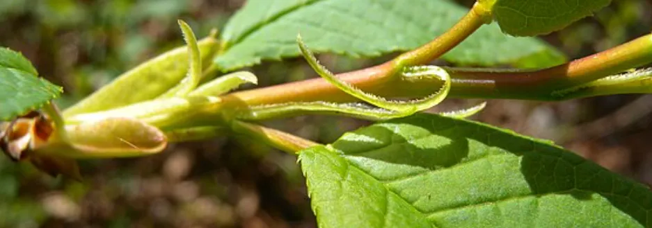 Screenshot 2026-04-07 2