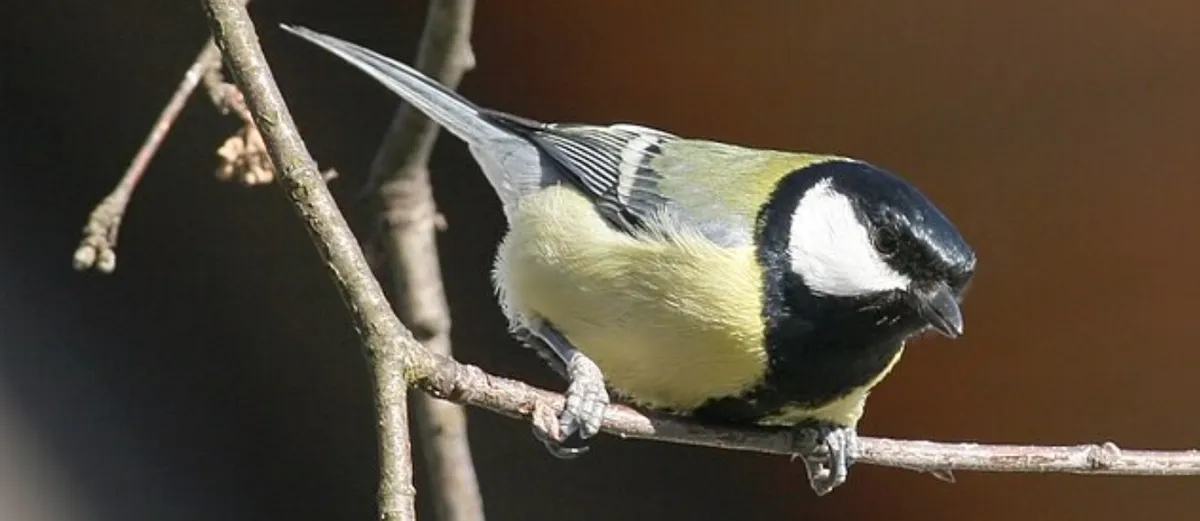 Screenshot 2026-03-03 10