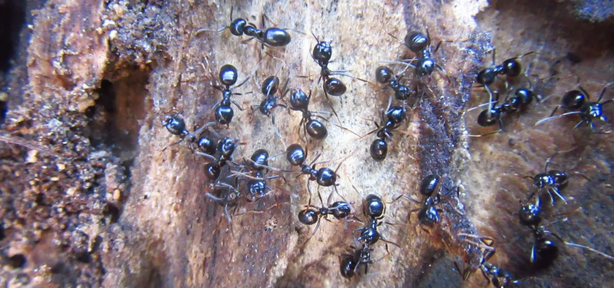 Screenshot 2026-03-01 11