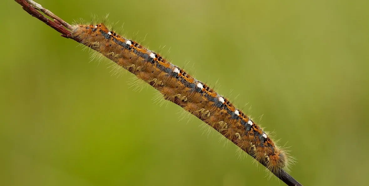 Screenshot 2026-03-03 11