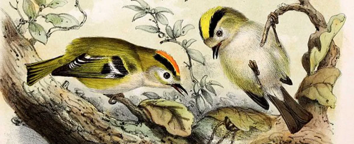 Screenshot 2026-02-05 21