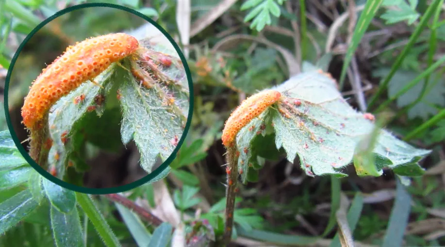 Screenshot 2026-04-18 10