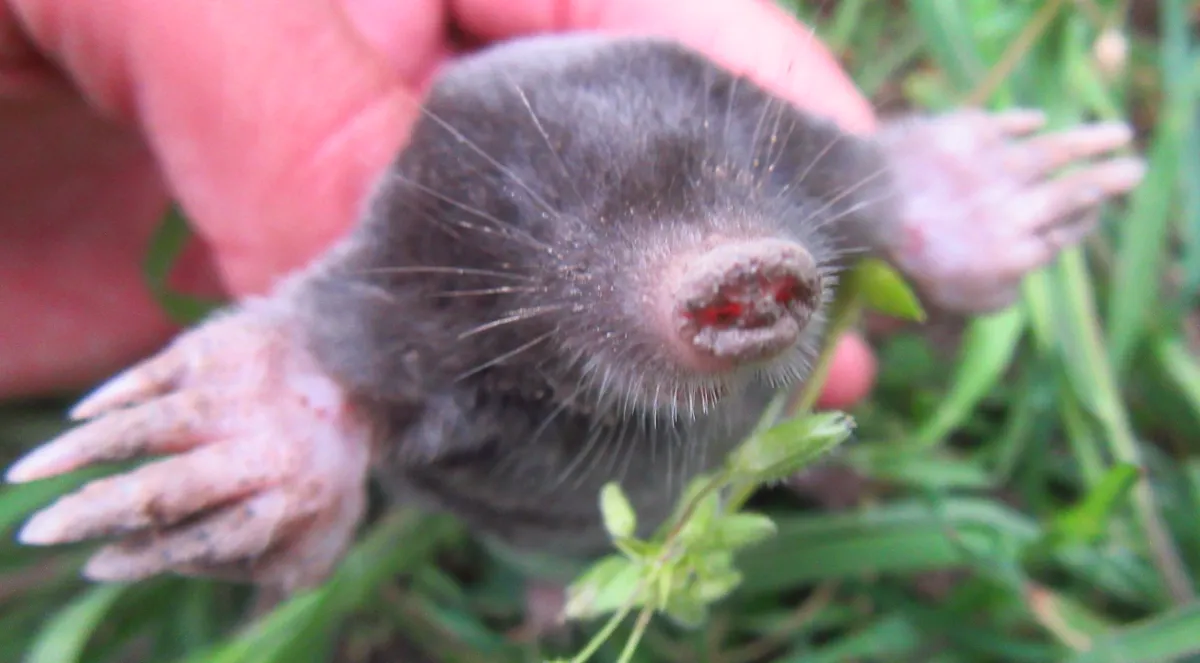 Screenshot 2026-04-19 8