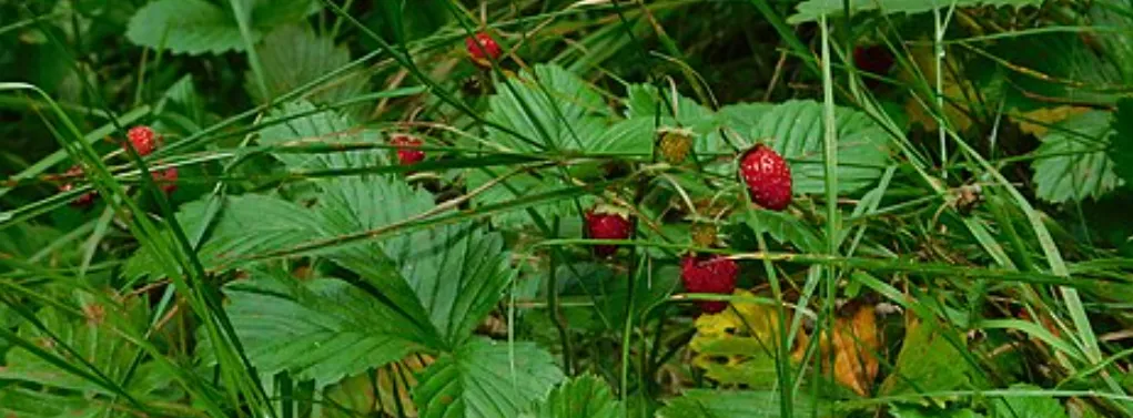 Screenshot 2026-04-07 7