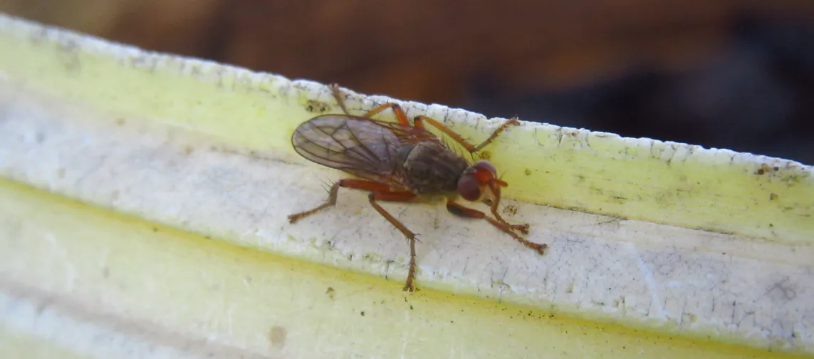 Screenshot 2026-04-09 8