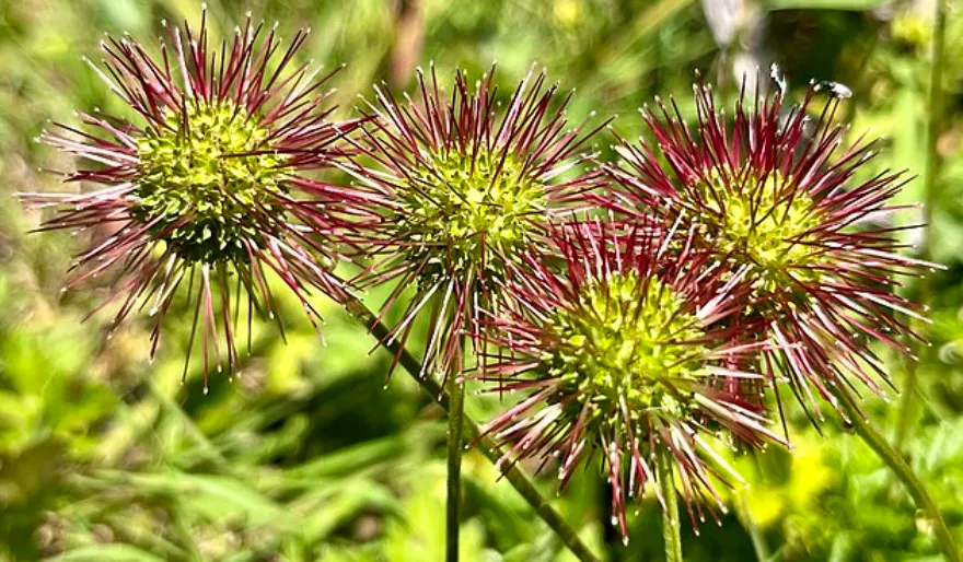 Screenshot 2026-04-11 4