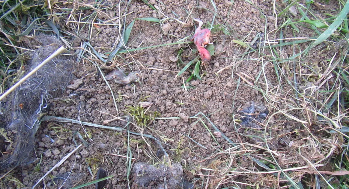 Screenshot 2026-04-19 8