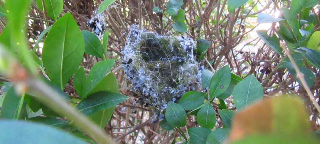 Screenshot 2026-03-07 12