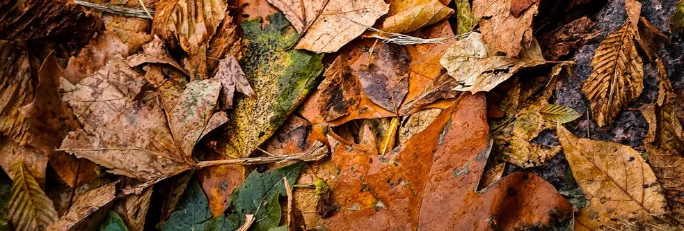 Screenshot 2026-02-06 19