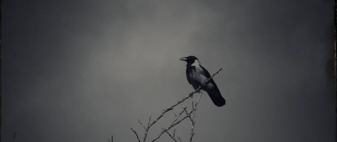 Screenshot 2026-02-07 07