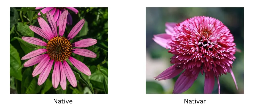 Screenshot 2026-04-14 9