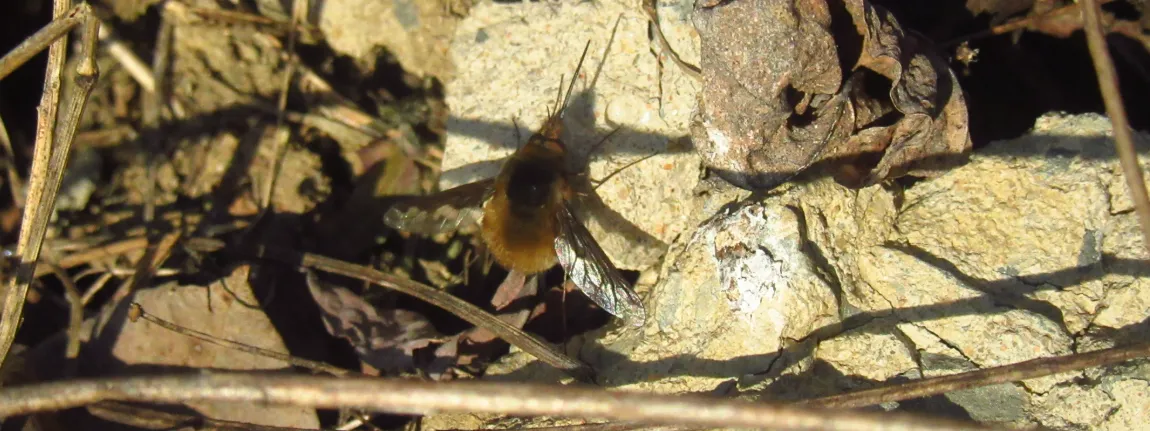 Screenshot 2026-03-14 10