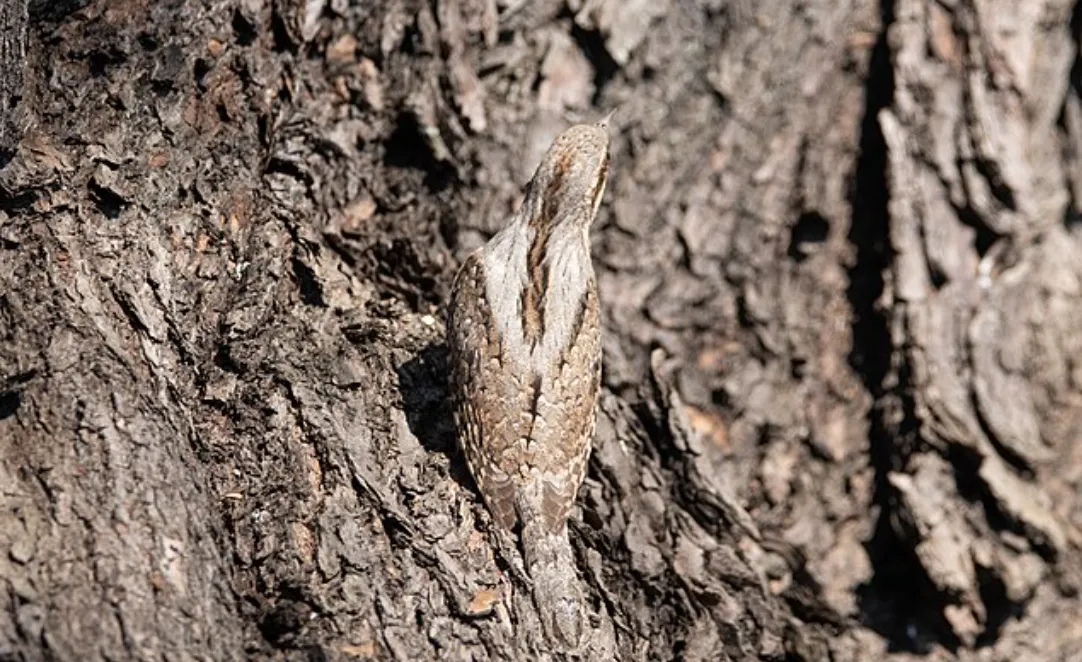 Screenshot 2026-04-09 5