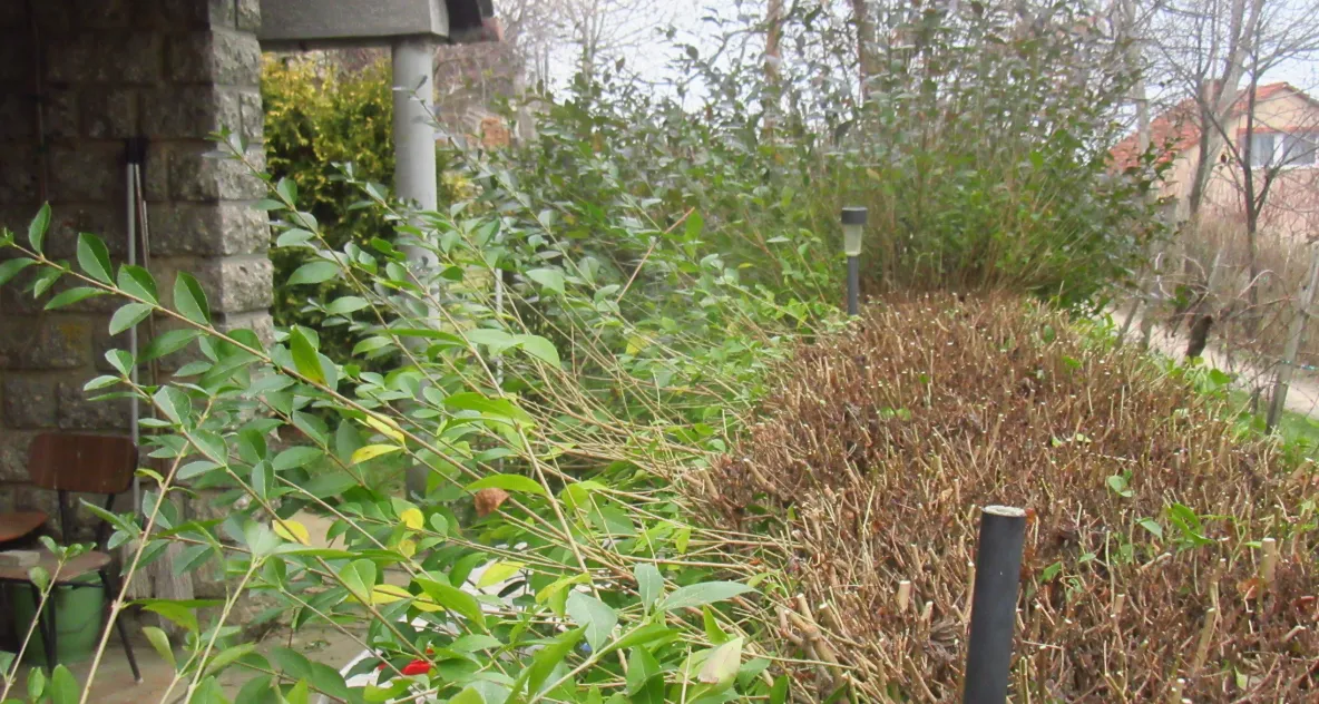 Screenshot 2026-03-02 12