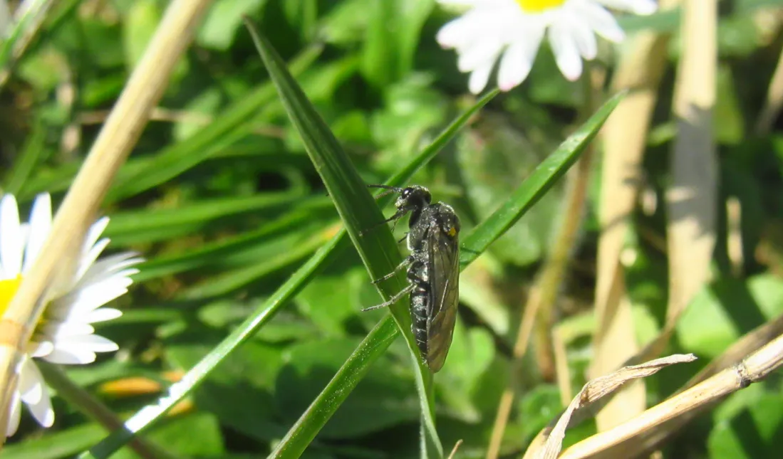 Screenshot 2026-03-14 11