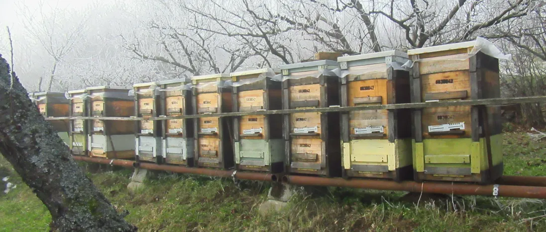 Screenshot 2026-02-16 11