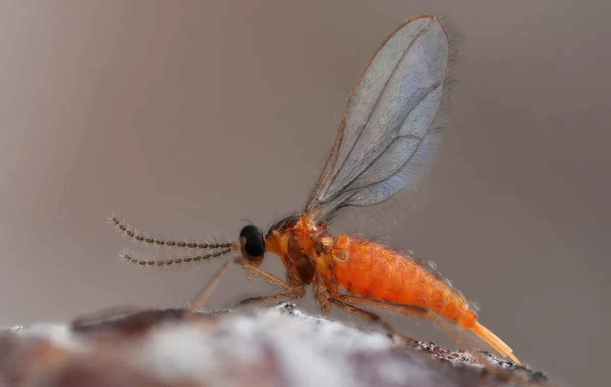 Screenshot 2026-02-07 09